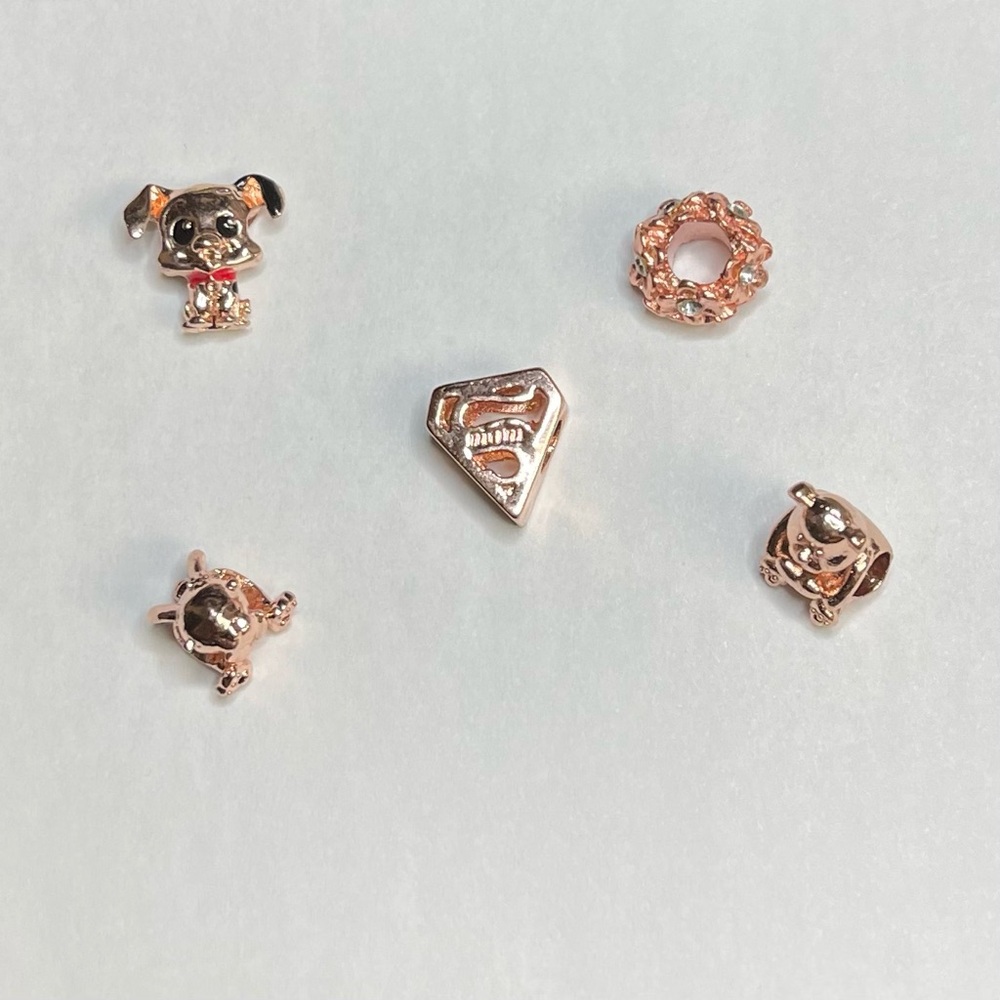 Rose Gold Charm Set